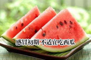 感冒可以吃小瓜,小瓜助力身体恢复