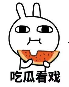 龙哥吃瓜作品,揭秘娱乐圈幕后真相，带你领略明星们的真实生活