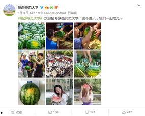 大学吃瓜网站,校园热点事件背后的真相与笑料