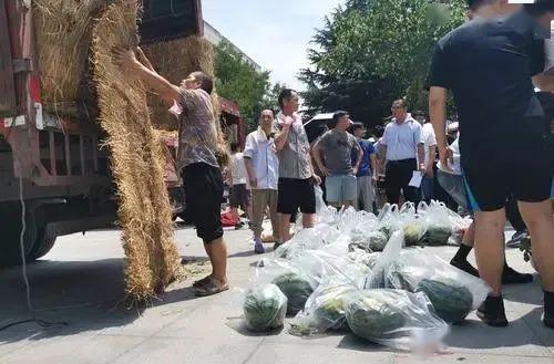 高中吃瓜和大学吃瓜,吃瓜文化的演变与传承