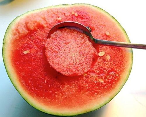 上朝吃瓜番茄小说,上朝吃瓜，番茄小说里的权谋人生