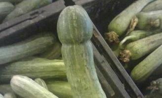 安平瑞泰吃瓜,吃瓜群众眼中的风云变幻