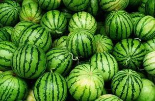 122503吃瓜群,揭秘网络社交圈的趣味与争议