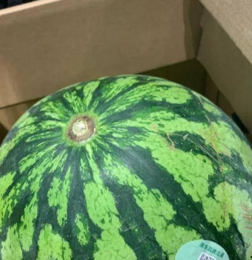 吃瓜管真假,网络热词背后的真相与争议