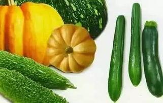 吃瓜的老黑,吃瓜老黑的趣味生活点滴