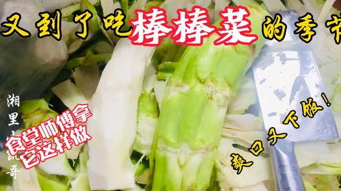 湖州音乐老师吃瓜,湖州音乐老师意外走红，吃瓜瞬间成焦点