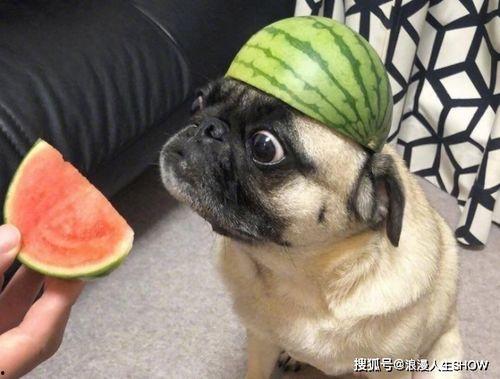 吃瓜要小号吗,为何要使用小号？