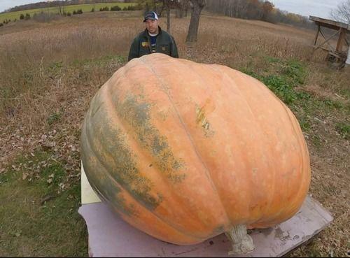 大瓜吃的真香,揭秘娱乐圈那些“真香”瞬间