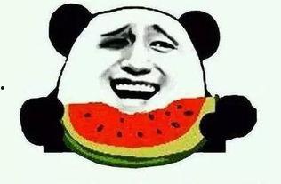 你喜欢怎么吃瓜,揭秘我最爱的吃瓜方式与独家秘籍