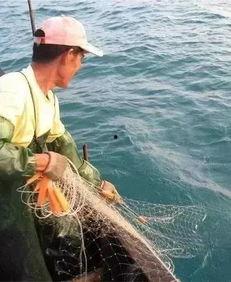 吃瓜渔民林悠悠,吃瓜渔民的渔村生活记