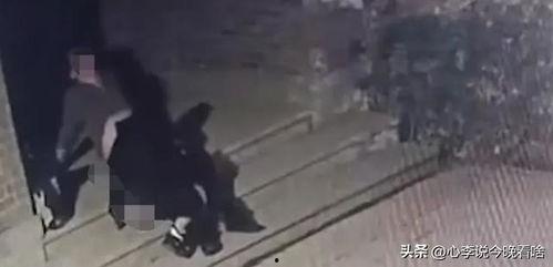 吃瓜看书完整视频,揭秘热门视频背后的故事与启示