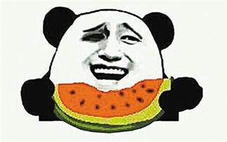 吃瓜网上是什么意思,网络热议背后的真相与影响